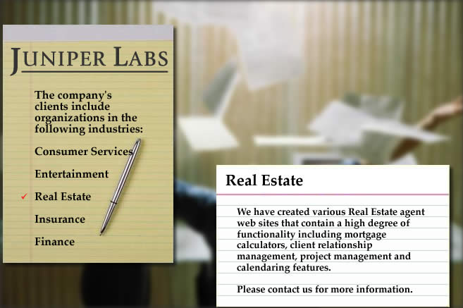 We have created various Real Estate agent web sites that contain a high degree of functionality including mortgage calculators, client relationship management, project management and calendaring features.  Here's a recent example:  http://www.reneedewire.com.